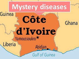 Disease outbreak news